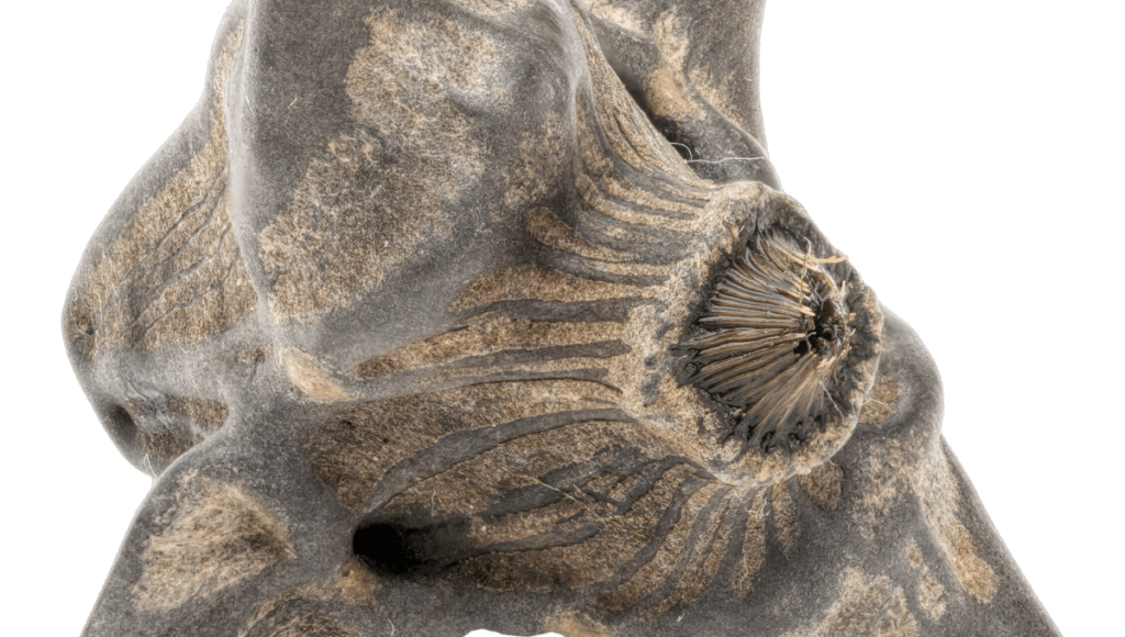 डायबिटीज को 100 प्रतिशत ठीक करने के घरेलू उपाय