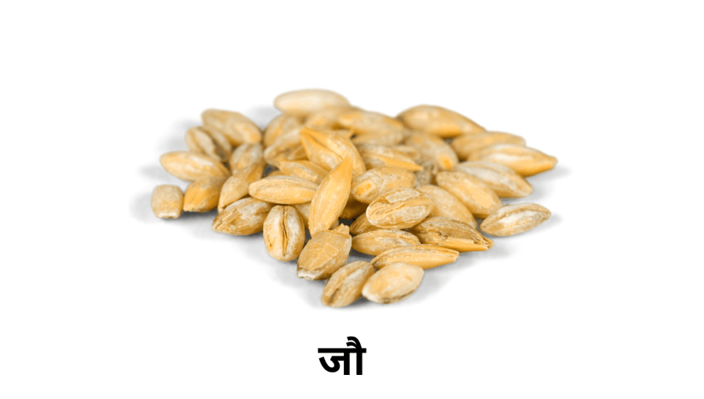 जानिए जौ के फायदे ,नुकसान ,तासीर और करें बीमारियों की छुट्टी