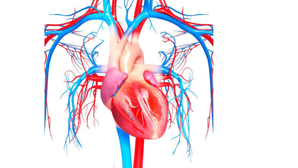 अभ्रक भस्म के महत्वपूर्ण फायदे , नुकसान और लेने की विधि