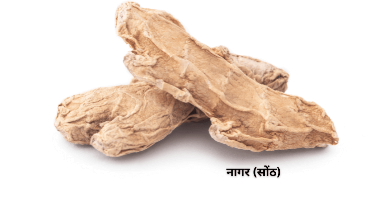 आलस्य, बार-बार पेशाब और अपच का आयुर्वेदिक समाधान