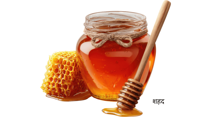 पेट की बीमारियों की मुख्य वजह और आयुर्वेदिक उपचार