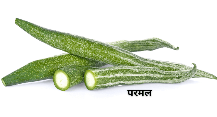 परवल और परमल: उत्तर भारत की भूली हुई सेहत का खजाना, जानिए क्यों है जरूरी इन्हें डाइट में शामिल करना