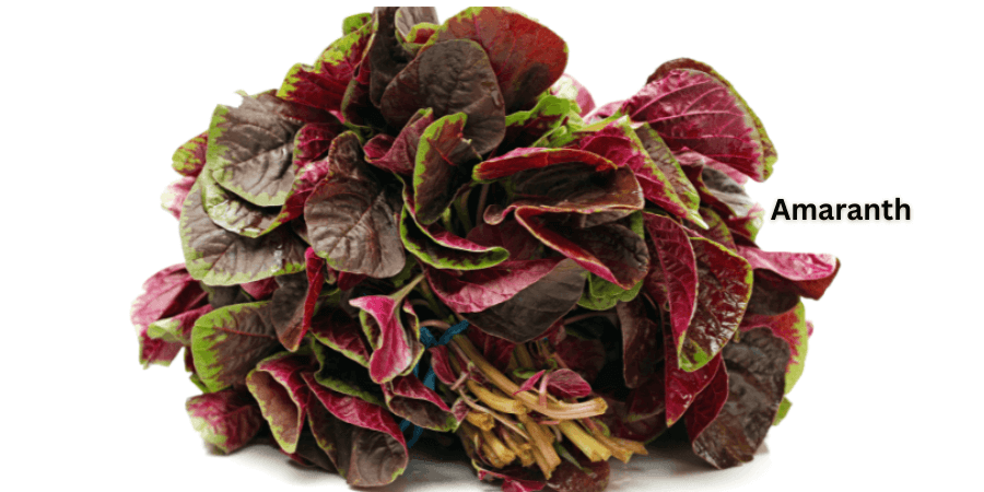 Amaranth: the unknown superfood of ayurveda that destroys toxic elements