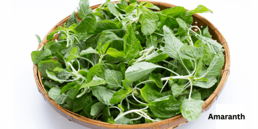 Amaranth: the unknown superfood of ayurveda that destroys toxic elements