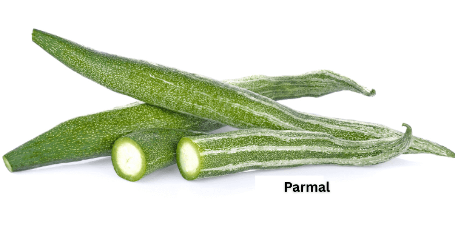 parwal and parmal north indias forgotten health treasure